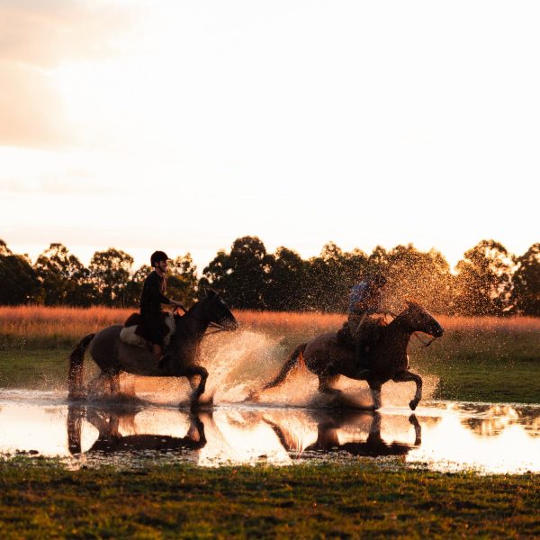 horse riding esquina Estancia