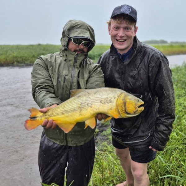 Captura de Pantalla 2025-06-09 a la(s) 22.10.09