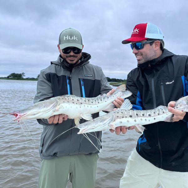 Captura de Pantalla 2025-06-09 a la(s) 22.12.17