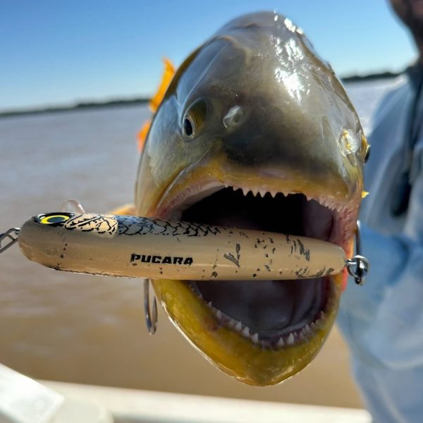 Captura de Pantalla 2025-06-09 a la(s) 22.16.04