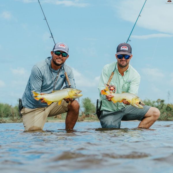 Captura de Pantalla 2025-06-09 a la(s) 22.17.48