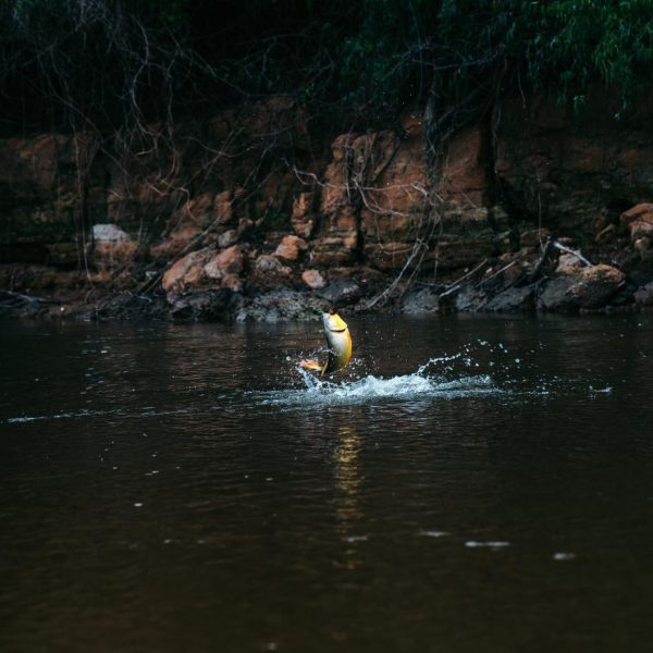 Captura de Pantalla 2025-06-09 a la(s) 23.32.12