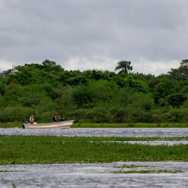 Safaris de vida silvestre(1)