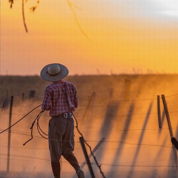 Don Joaquín River Lodge Campo